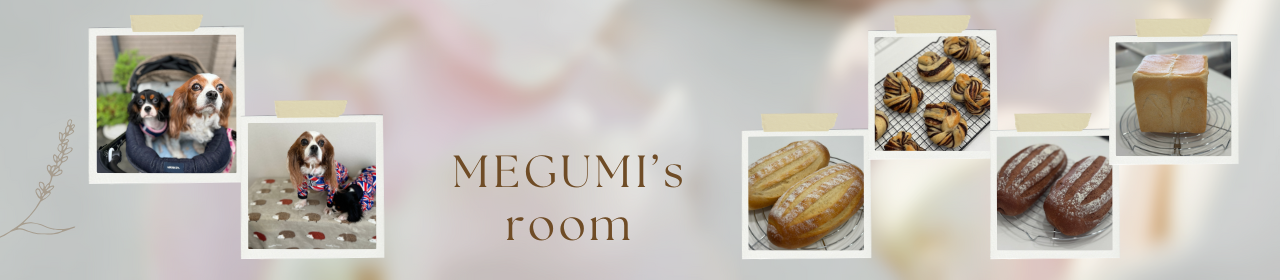 MEGUMI’s room